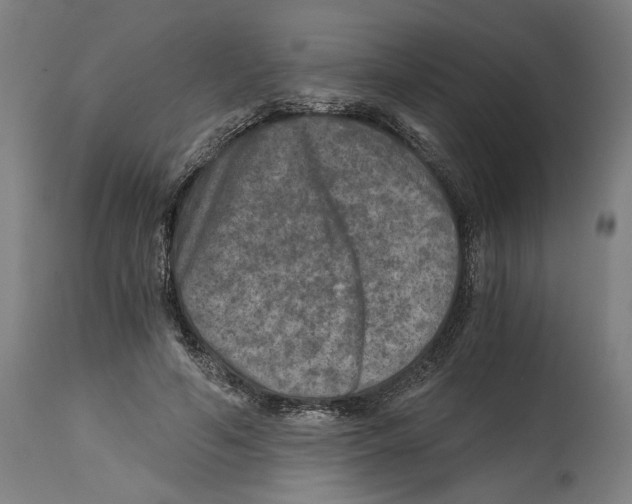 X0000114390594200911131344