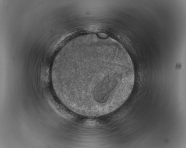 X0000114390596200911131344