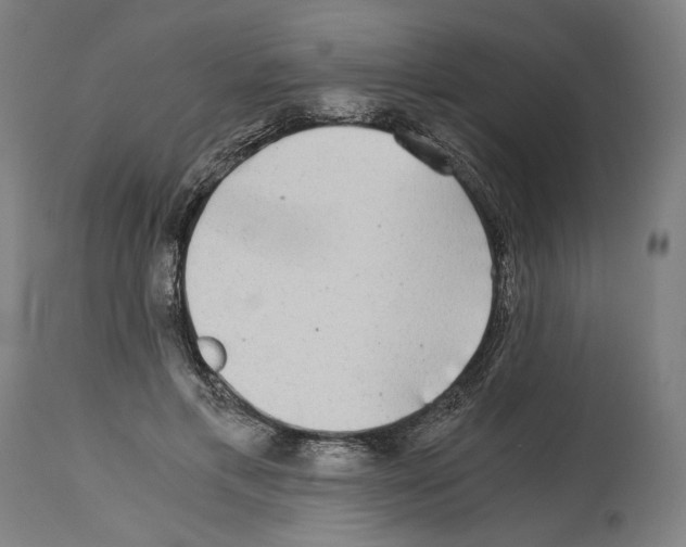 X0000114390597200911131344