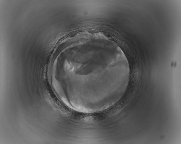 X0000114390600200911131344