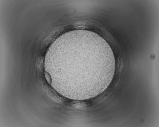 X0000114390601200911131344