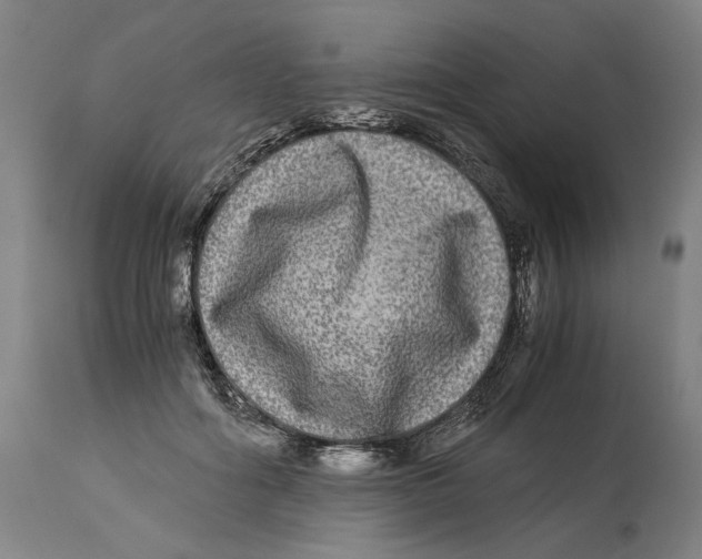 X0000114390602200911131344