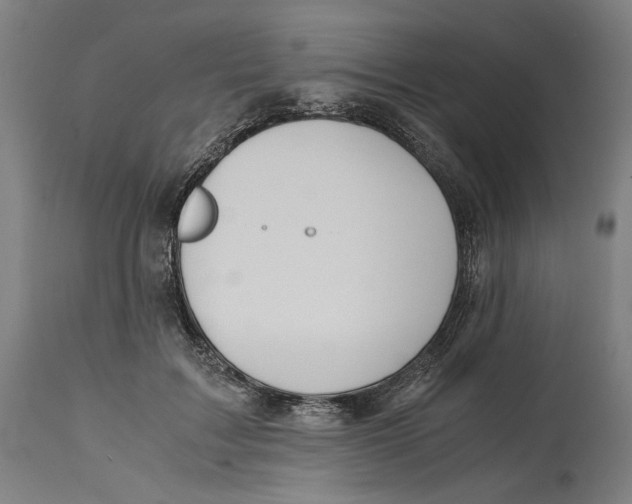 X0000114390603200911131344