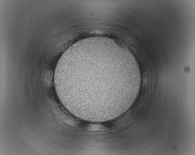 X0000114390605200911131344