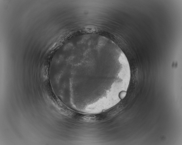 X0000114390606200911131344