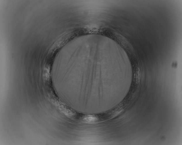 X0000114390610200911131344