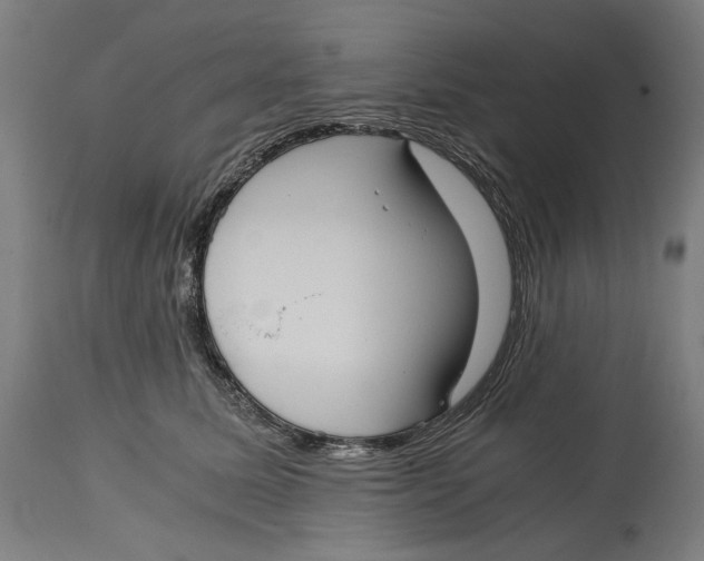 X0000114390611200911131344