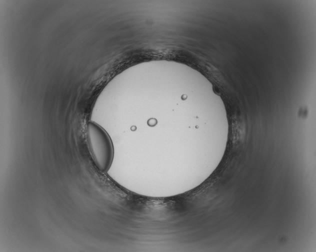 X0000114390613200911131344