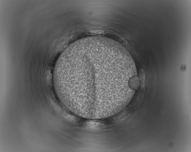 X0000114390614200911131344