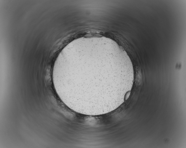 X0000114390616200911131344