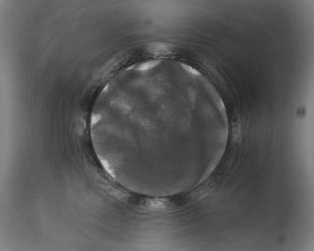 X0000114390618200911131344