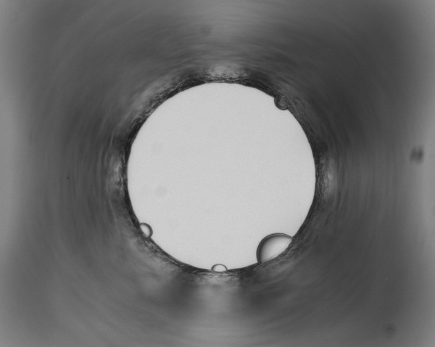 X0000114390619200911131344