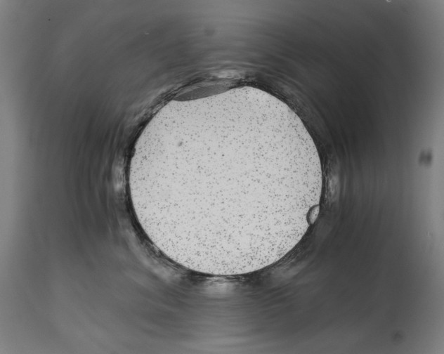 X0000114390620200911131344