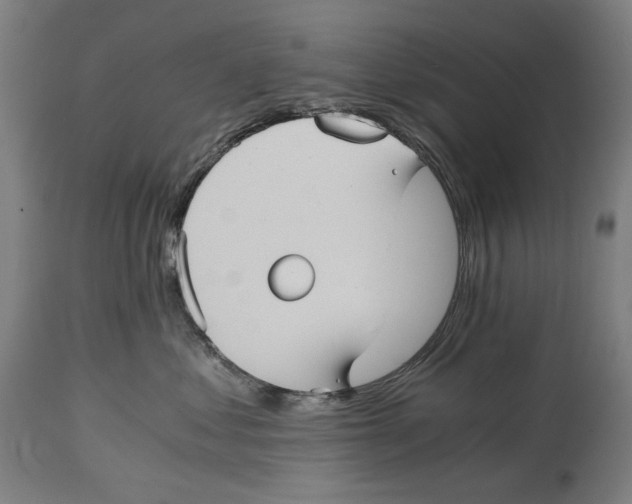 X0000114390621200911131344