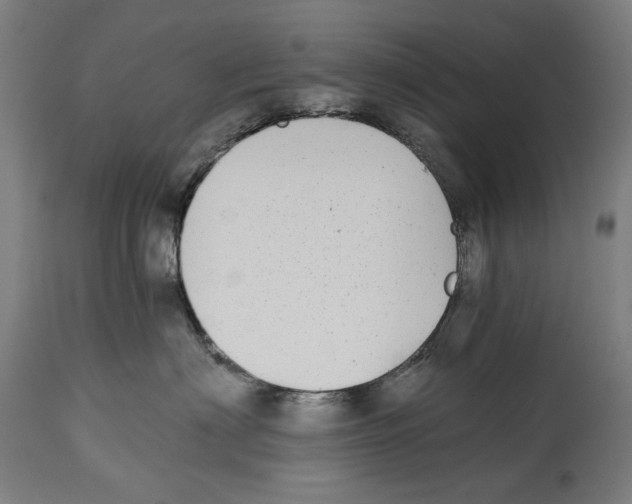 X0000114390622200911131344