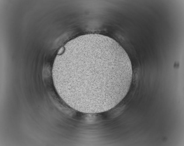 X0000114390623200911131344