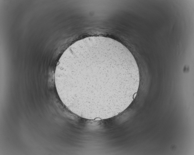 X0000114390624200911131344