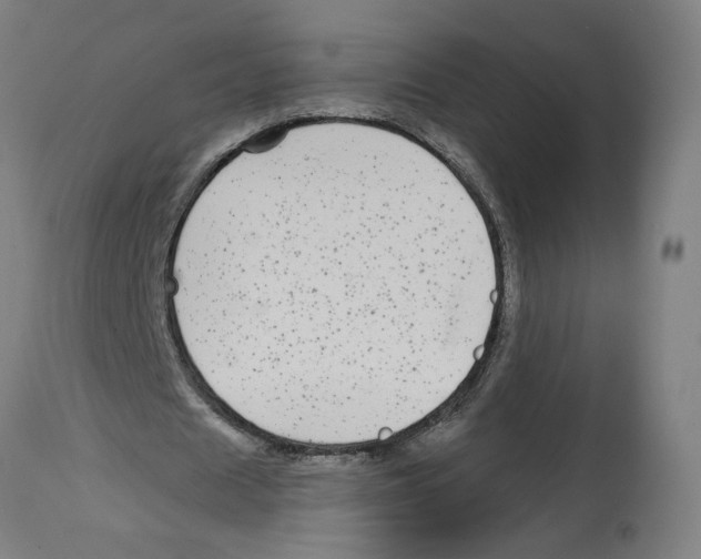 X0000114390625200911131343