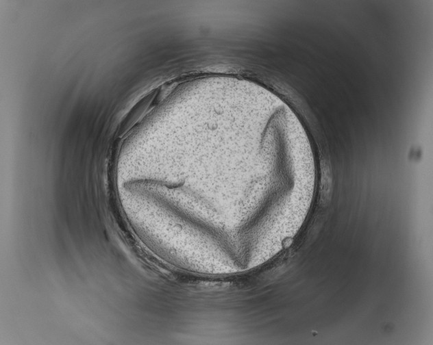 X0000114390626200911131343