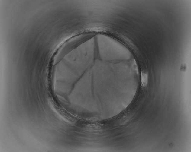 X0000114390627200911131343