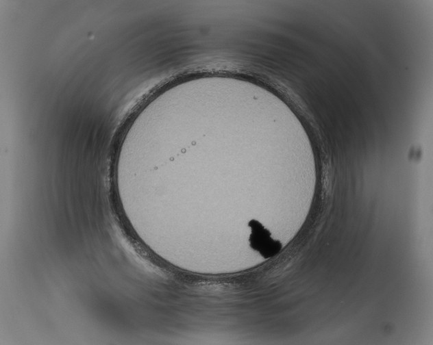 X0000114390629200911131343