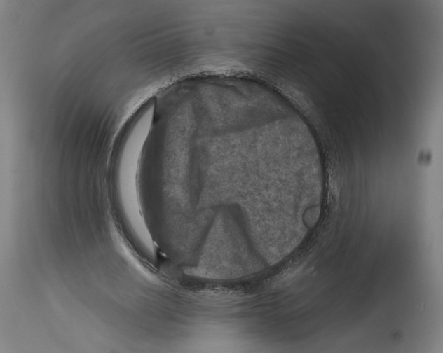 X0000114390630200911131343