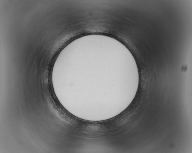 X0000114390631200911131343