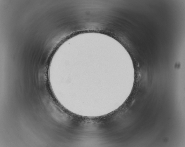 X0000114390632200911131343