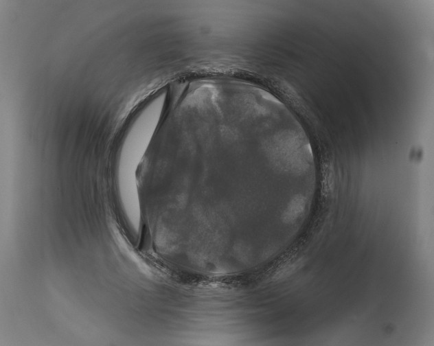 X0000114390634200911131343