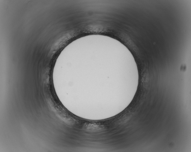 X0000114390635200911131343