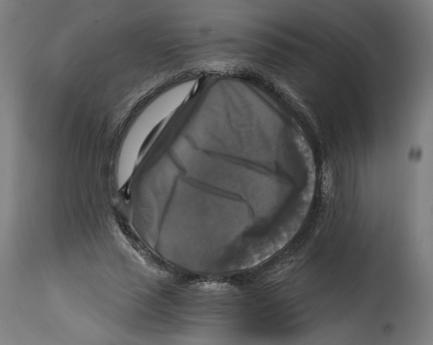 X0000114390637200911131343