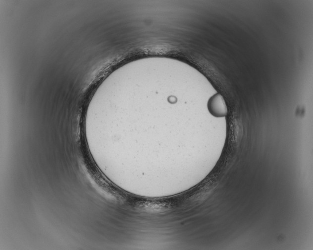 X0000114390638200911131343