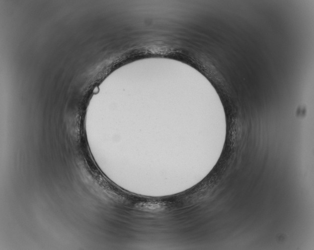 X0000114390639200911131343