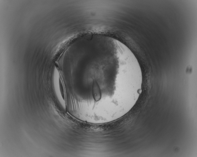 X0000114390640200911131343