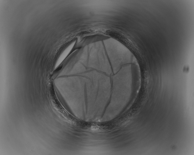 X0000114390641200911131343