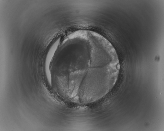 X0000114390642200911131343