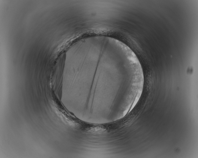 X0000114390644200911131343