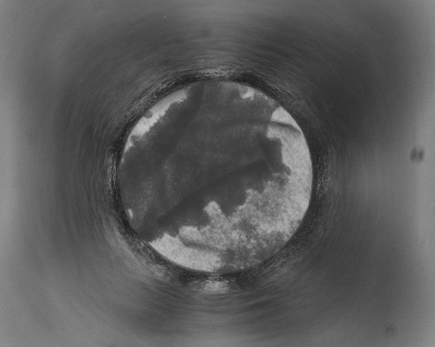 X0000114390647200911131343