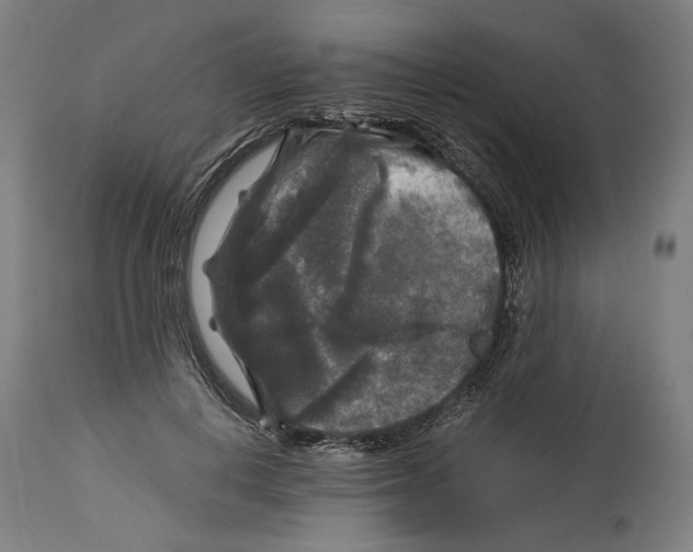 X0000114390648200911131343