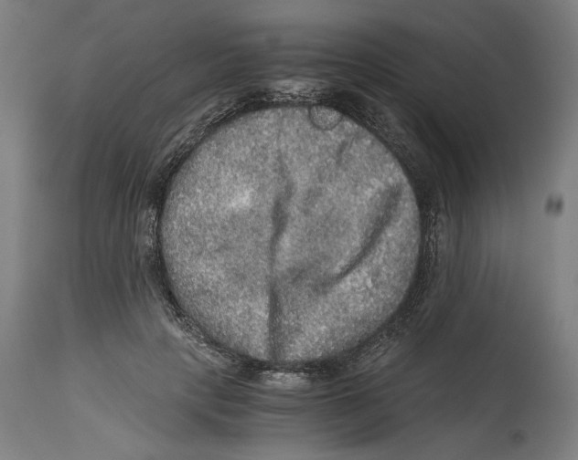 X0000114390649200911131343