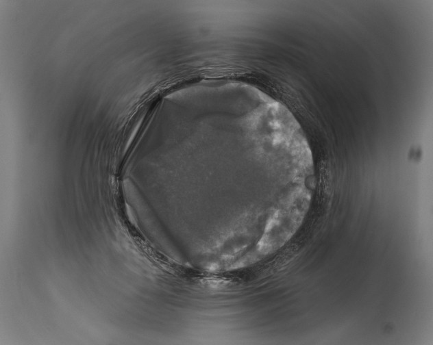 X0000114390650200911131343