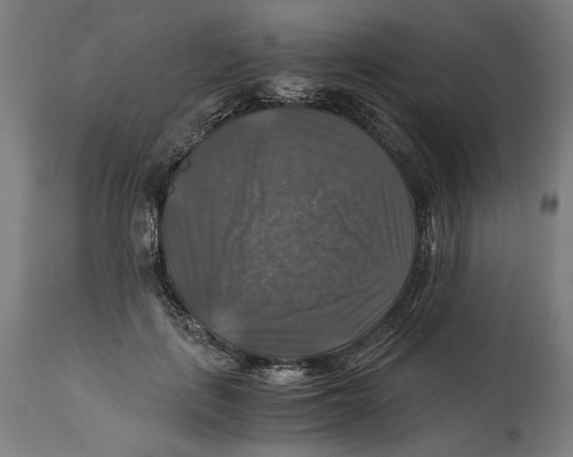 X0000114390651200911131343