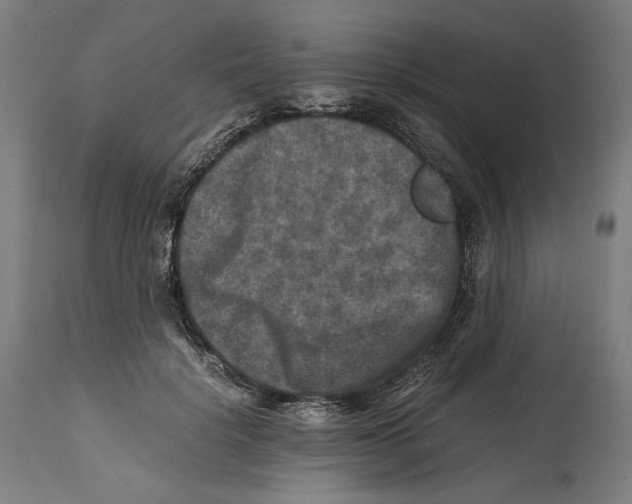 X0000114390652200911131343