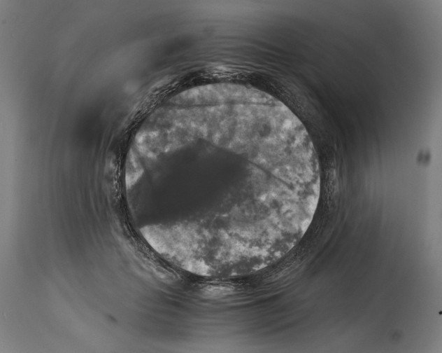 X0000114390653200911131343