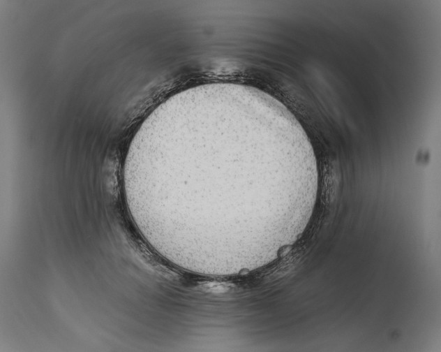 X0000114390654200911131343