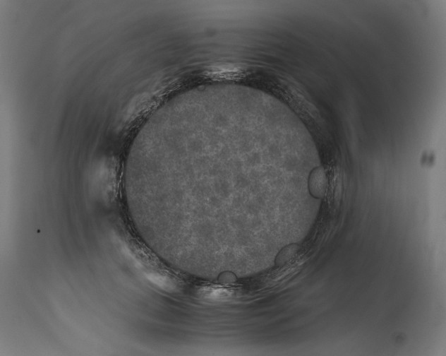 X0000114390655200911131343