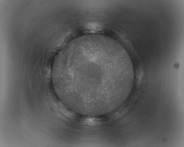 X0000114390657200911131343