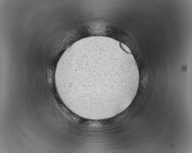 X0000114390658200911131343