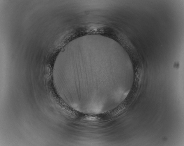 X0000114390659200911131343