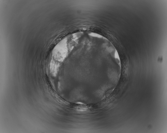 X0000114390661200911131344